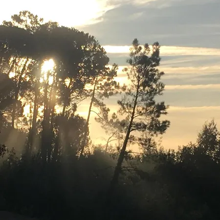 Pausastay - Qdm Artists - בית הארחה