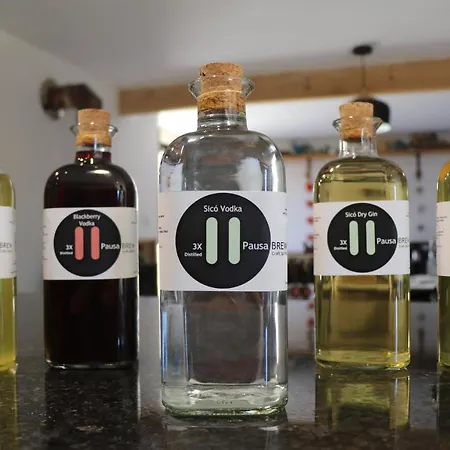 בית הארחה Pausastay - Qdm Artists - *