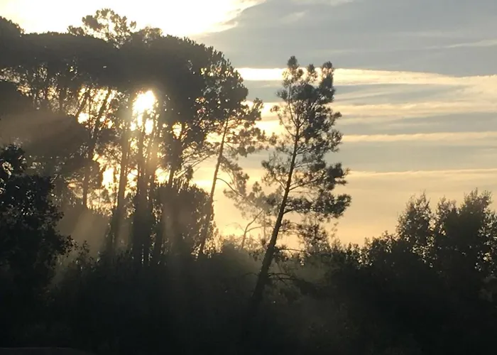 Pausastay - Qdm Artists - Гостевой дом